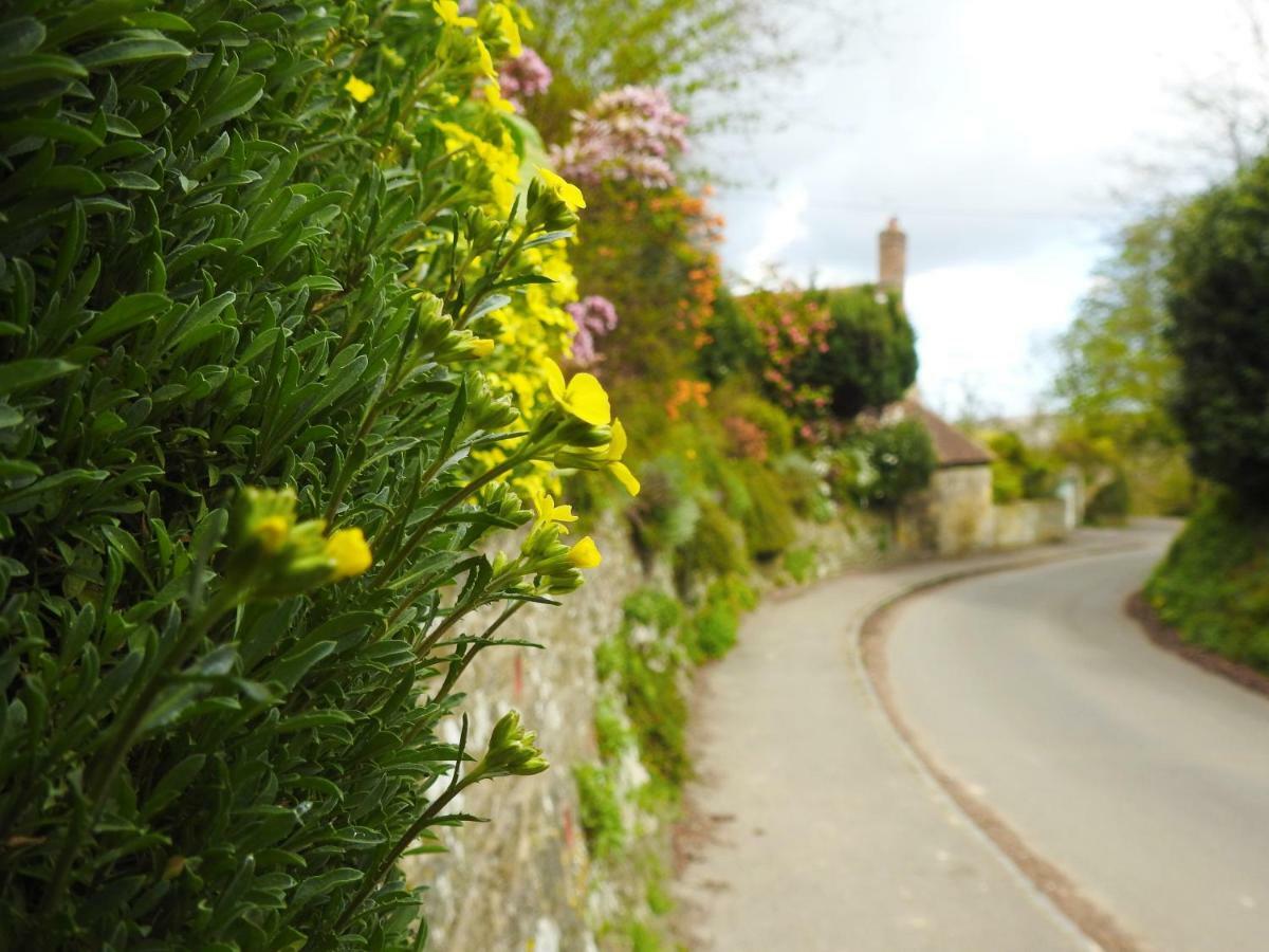 Church Combe - Petworth West Sussex Hotell Exteriör bild